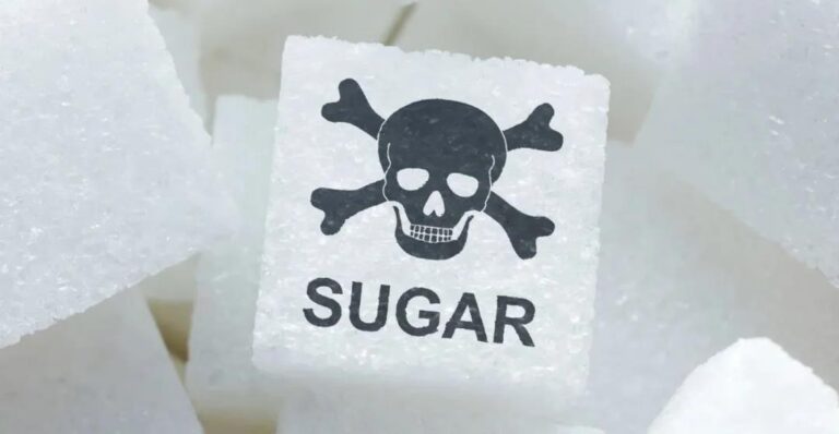 Cell: Excessive sugar intake can cause mitochondrial damage