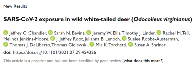 Deer herds in U.S. are heavily infected with the new coronavirus (COVID-19)