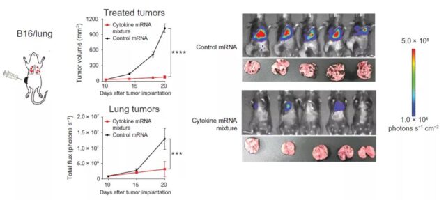BioNTech: Injecting mRNA to promote anti-tumor immune response