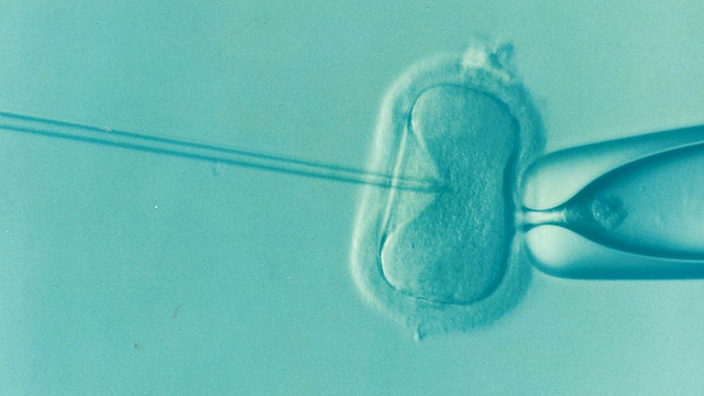 IVF: Is the success rate of blastocyst transplantation high?