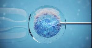 Japanese scholars use pluripotent stem cells to produce sperm.