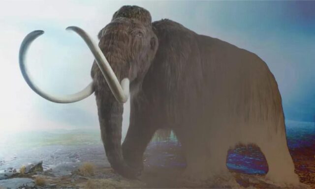 Is it possible to "resurrect" the mammoth within 4-6 years?