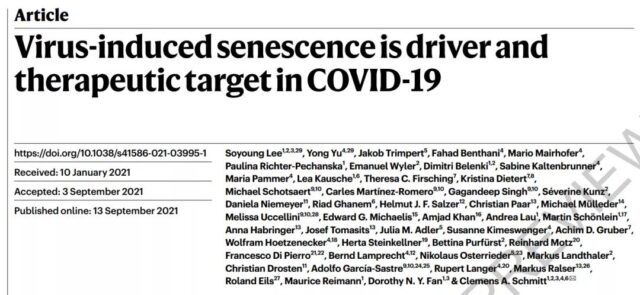 Nature: The new coronavirus (COVID-19) will accelerate cell aging, but it also provides a new direction for treatment.