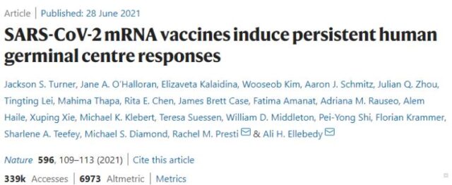 Big discovery: Infected by COVID-19 + 2 dose vaccines = Super Immunity