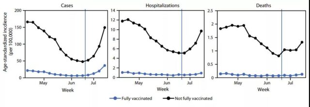 People without vaccination are 11 times more likely to die from COVID-19 