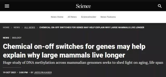 Science: Is larger species with longer lifespans?