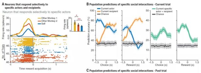 Harvard University reveals neurons responsible for social interaction in brain