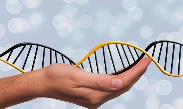 FDA: First CRISPR gene editing therapy NTLA-2001 Granted as orphan drug.