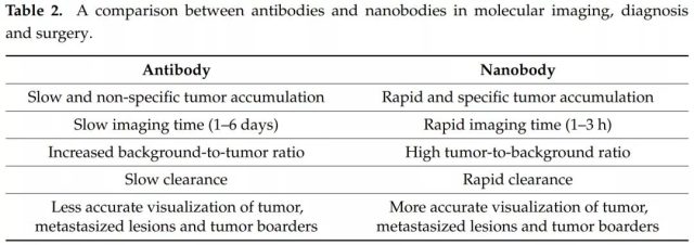 Clinical Application of Nanobodies in Six Major Tumors