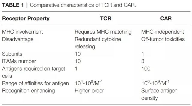 Tumor immunotherapy: What is the difference between CAR-T and TCR-T?