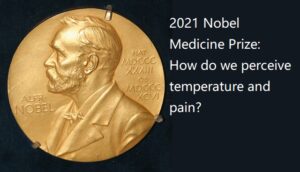 2021 Nobel Medicine Prize: How do we perceive temperature and pain?