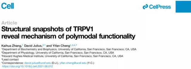 2021 Nobel Prize winner Paper: How do pain receptors TRPV1 perceive a variety of natural stimuli?