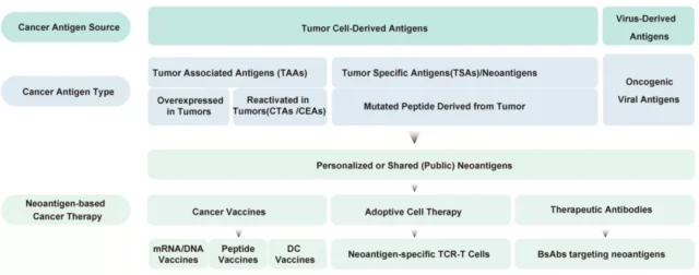 Neoantigens in Tumor Immunotherapy and related cancer vaccines