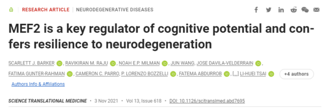 MEF2 may becomes the new target for Alzheimer's disease