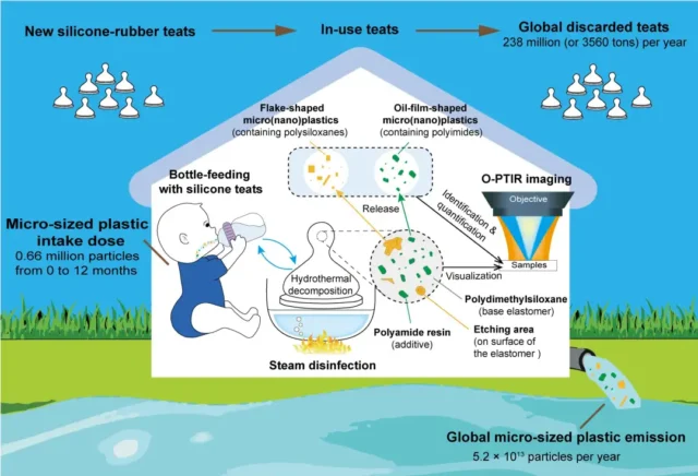 Steam sterilization of pacifier causes a lot of microplastics into baby's body