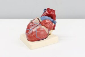 AstraZeneca and Moderna mRNA technology can treat heart failure