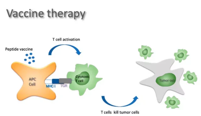 The clinical prospects of immunotherapy for glioblastoma