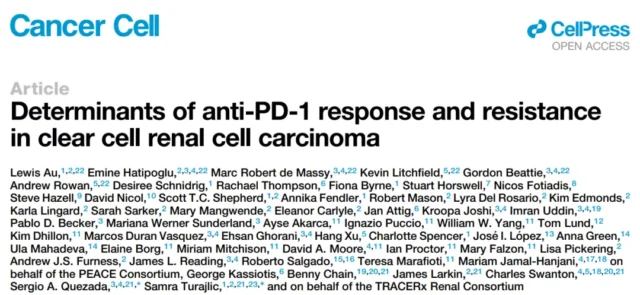 anti-PD-1 response and drug resistance in advanced renal cell carcinoma