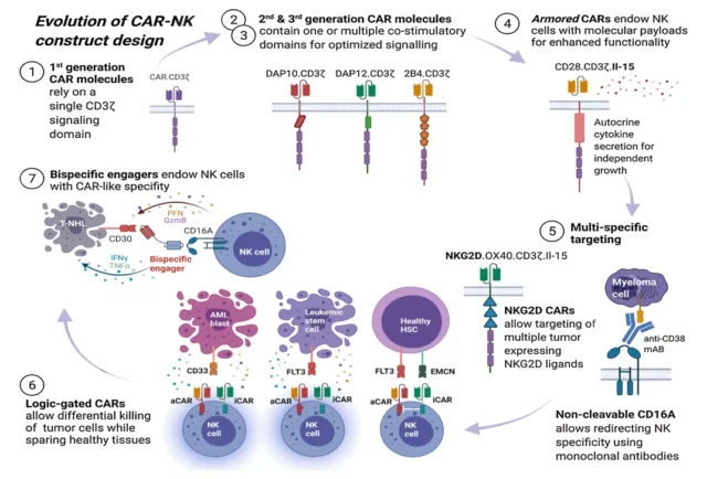 Multiple gene editing to construct a new generation of CAR-NK