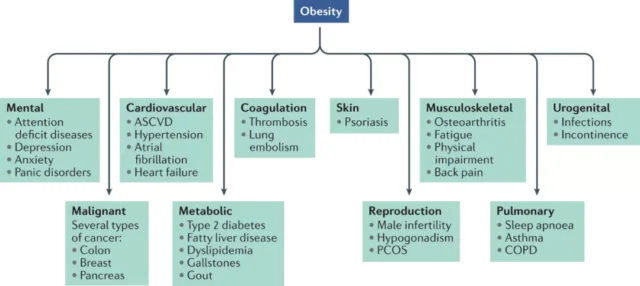 What are the challenges of anti-obesity drug development?