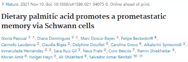 Nature: Palmitic acid promotes the metastasis of cancer cells!