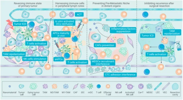 Frontiers of Nanotechnology in Tumor Immunotherapy