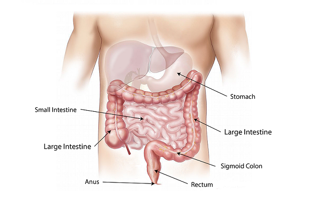Treatment of peritoneal metastases from colorectal cancer
