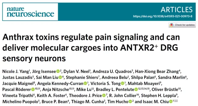 Nature Neuroscience: Deadly anthrax toxin can be used to eliminate pain. 