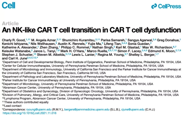 Cell: Continuous antigen stimulation can lead to CAR-T exhaustion