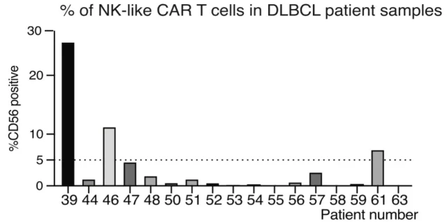 Cell: Continuous antigen stimulation can lead to CAR-T exhaustion