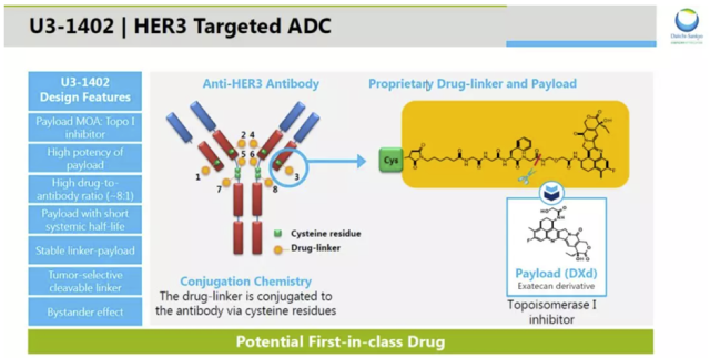 HER3-targeted ADC for patients with drug-resistant non-small cell lung cancer