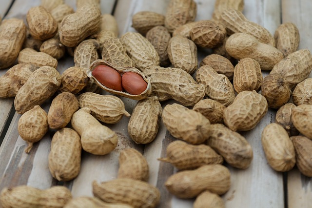Eating peanuts can make blood vessels healthier?