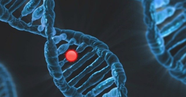 Researchers Uncover Link Between Human Genome Topology and Cancer Mutations