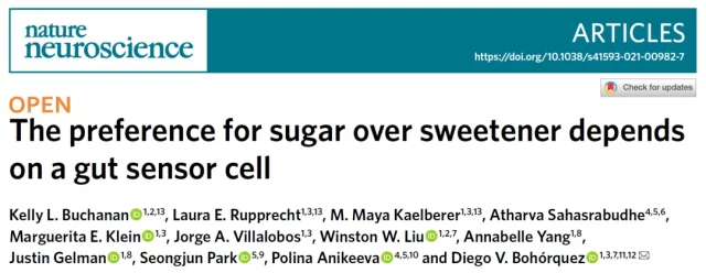 Nature neuroscience:  Preference for sugar stems from gut drive to brain