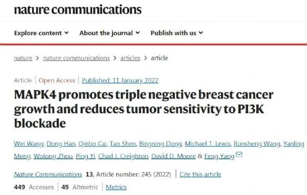 The enzyme MAPK4 may be a novel therapeutic target for triple-negative breast cancer!