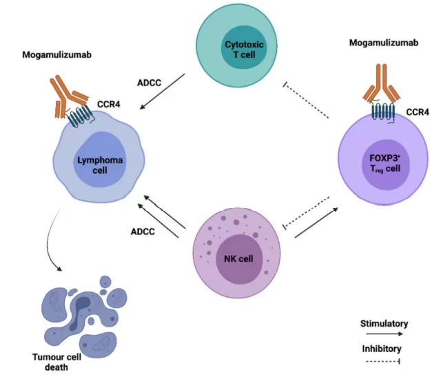 What is the role of Chemokines in tumor immunity?