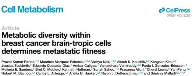 Metabolic diversity is the molecular basis determining fitness for breast cancer brain metastases
