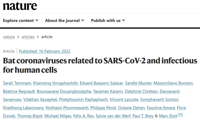 Breakthrough Discovery: The bat coronavirus that can infect human cells through ACE2