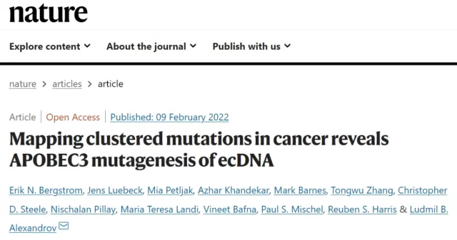 The mysterious mutation in cancers: ecDNA mutation cluster is associated with 10% of cancer development