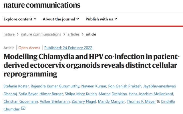 Organoid study: HPV is not the only culprit of cervical cancer?