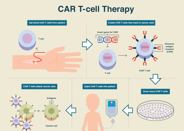 Nature Biotechnology: CAR-T can be produced in the body in one day
