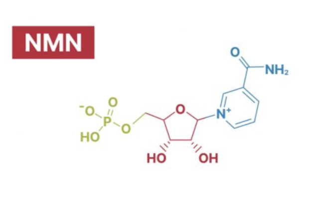 Understand NMN (Nicotinamide Mononucleotide) in five minutes