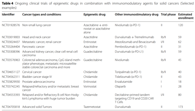 What  is Epigenetic regulation in tumor immunity?
