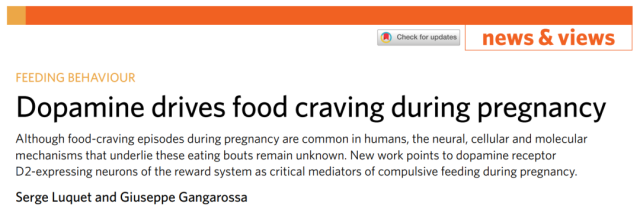 Food cravings during pregnancy are derived from dopamine secreted by the brain
