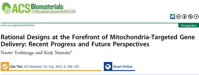 Review Interpretation: Delivery Strategies Targeting Mitochondrial DNA.