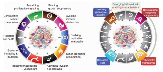 Exploring the role of cellular senescence in the treatment of cancer