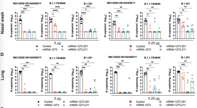 Moderna three COVID-19 mRNA vaccines immunized mice data