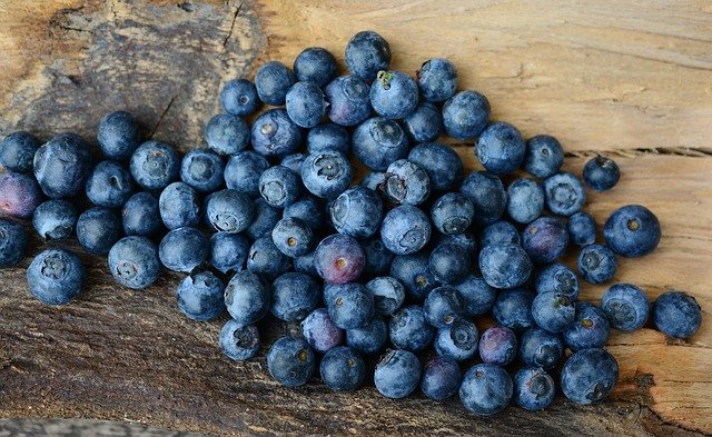 Study: Regular consumption of blueberries may reduce dementia risk.