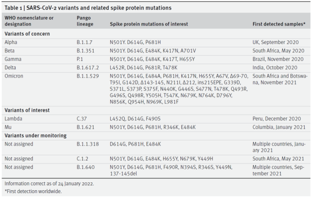 BMJ: Summary of the efficacy of various COVID-19 vaccines