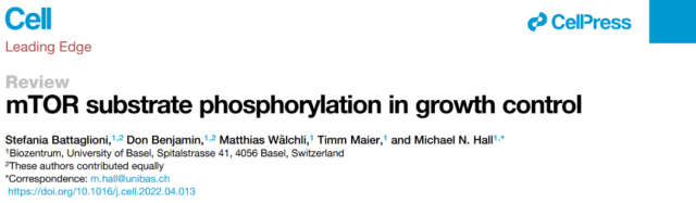 Cell Reviews: Details on phosphorylation of mTOR substrates